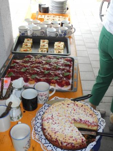 DSCN0894